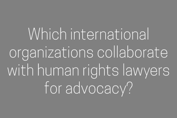 Which international organizations collaborate with human rights lawyers for advocacy?