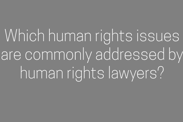 Which human rights issues are commonly addressed by human rights lawyers?