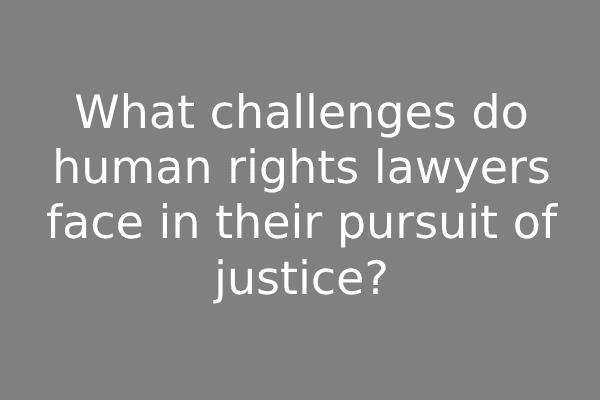 What challenges do human rights lawyers face in their pursuit of justice?